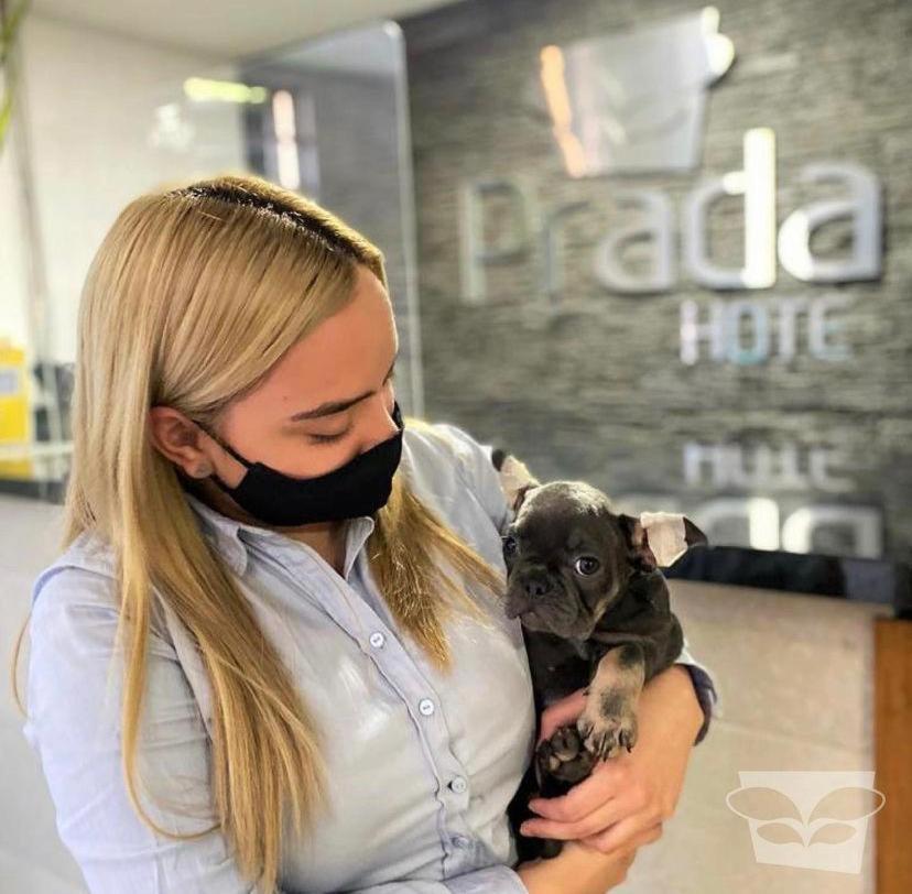 Hotel Prada Sas Bello Kültér fotó